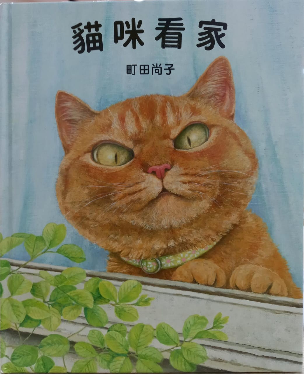 貓咪看家